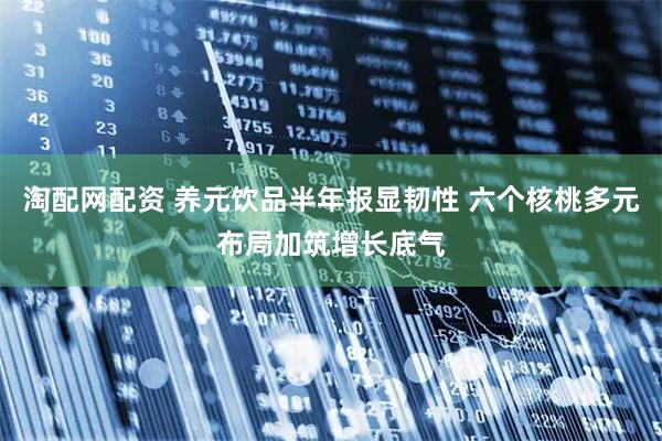 淘配网配资 养元饮品半年报显韧性 六个核桃多元布局加筑增长底气