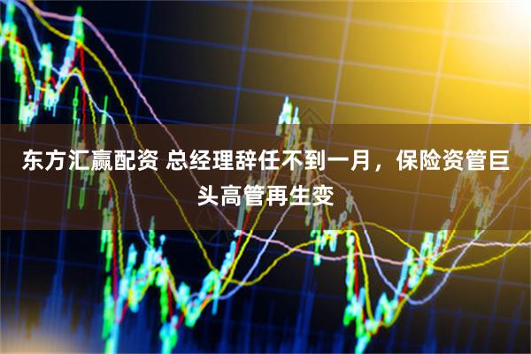 东方汇赢配资 总经理辞任不到一月，保险资管巨头高管再生变