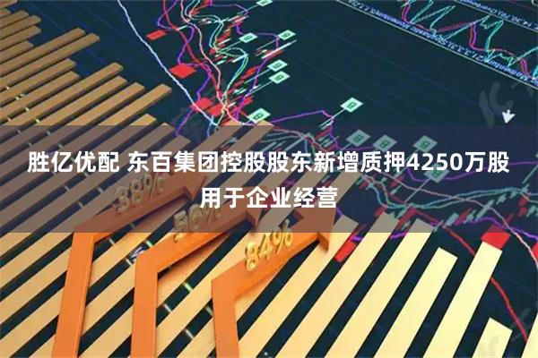 胜亿优配 东百集团控股股东新增质押4250万股用于企业经营