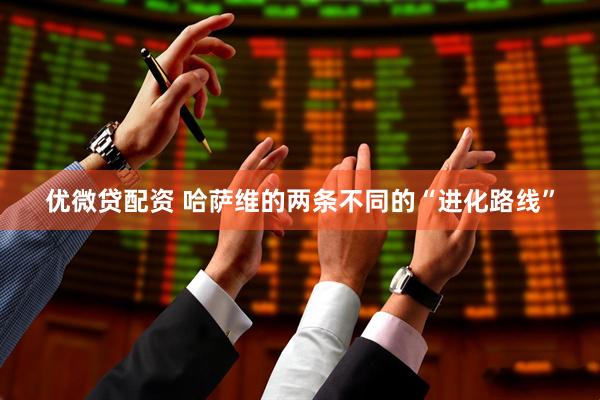 优微贷配资 哈萨维的两条不同的“进化路线”